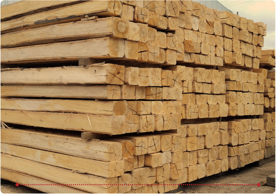 Descripción de la imagen 3