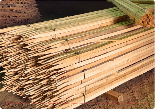 Descripción de la imagen 2