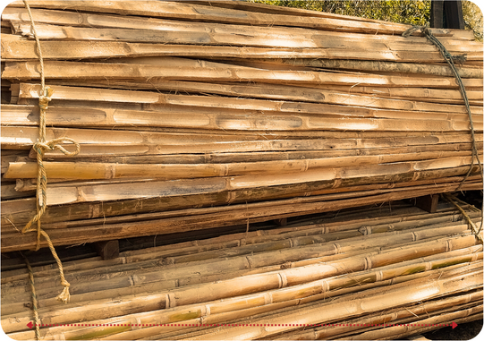 Descripción de la imagen 3